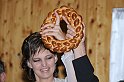 Ritmusfoto_0035