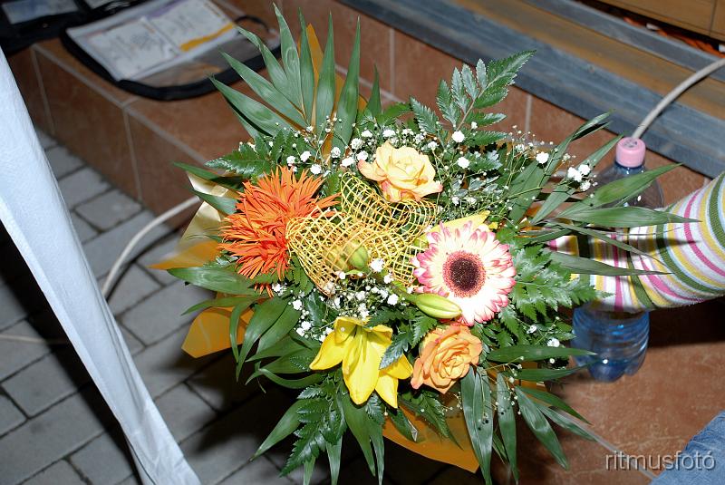 DSC_1014.JPG