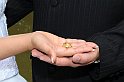 RIT_4761