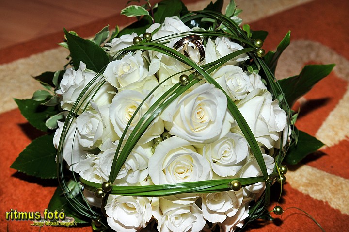 532_RIT_7677.JPG