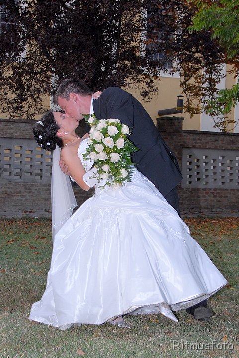 DSC_9123.JPG