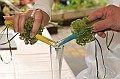 0985_RIT_0631