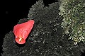 2148_BUC_0673